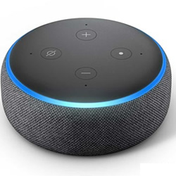 Smart Speaker
